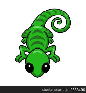 Cute little chameleon cartoon character