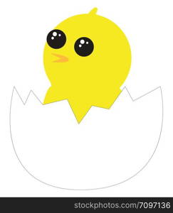 Cute little chicken in egg, illustration, vector on white background.