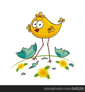 Cute little chicken on the meadow. Vector illustration for Easter holiday