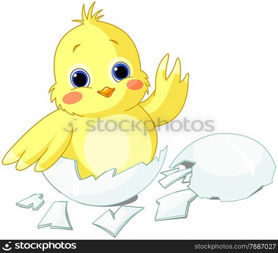Cute little chicken sitting in an egg