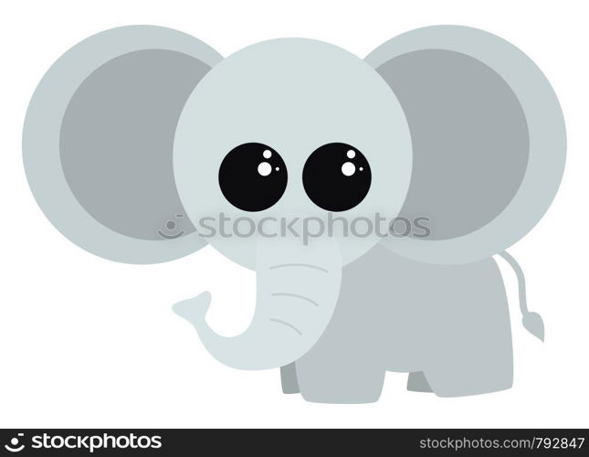 Cute little elephant, illustration, vector on white background.