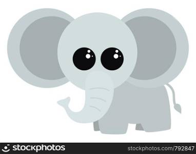 Cute little elephant, illustration, vector on white background.