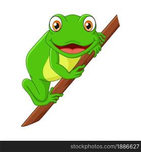 Cute little frog cartoon on tree branch