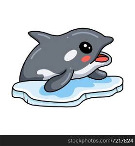 Cute little killer whale cartoon on ice floe