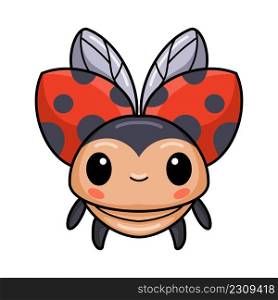 Cute little ladybug cartoon posing
