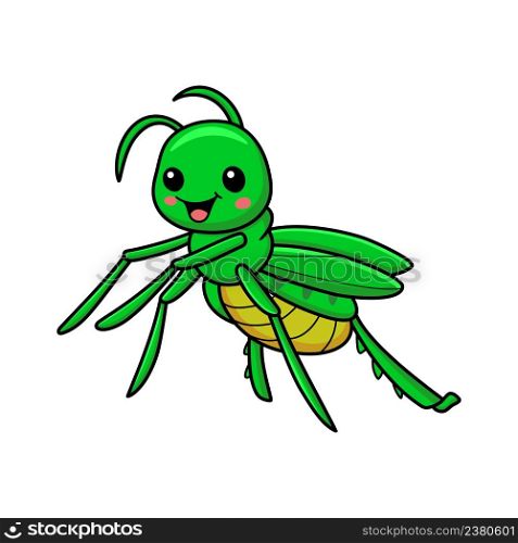 Cute little mantis cartoon character
