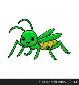 Cute little mantis cartoon character 