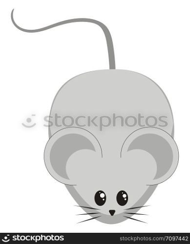 Cute little mouse, illustration, vector on white background.