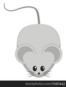 Cute little mouse, illustration, vector on white background.