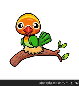 Cute little parrot cartoon on tree branch