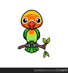 Cute little parrot cartoon on tree branch