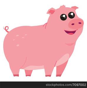 Cute little pig, illustration, vector on white background.