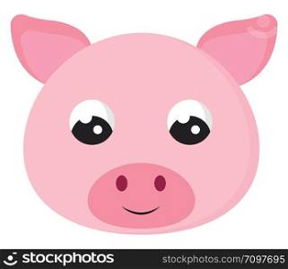 Cute little pig, illustration, vector on white background.