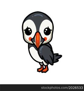 Cute little puffin bird cartoon posing
