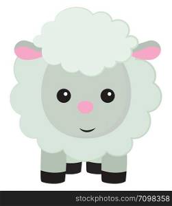 Cute little sheep, illustration, vector on white background.