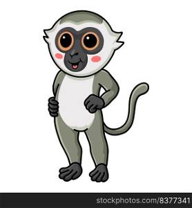 Cute little vervet monkey cartoon standing