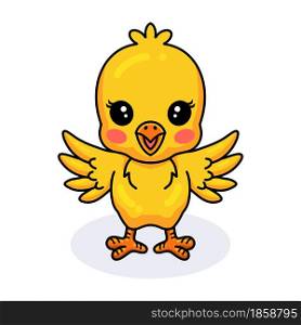 Cute little yellow chick cartoon