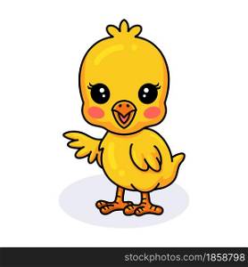 Cute little yellow chick cartoon