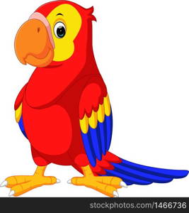 cute macaw cartoon