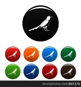 Cute magpie icons set 9 color vector isolated on white for any design. Cute magpie icons set color