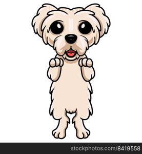 Cute maltese puppy dog cartoon