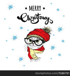 Cute Merry Christmas winter card with cat in hat and scarf,hand drawn vector illustration. Cute Merry Christmas winter card with cat in hat and scarf,