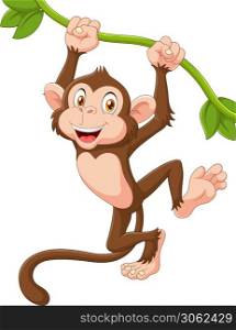 Cute monkey animal hanging on a vine
