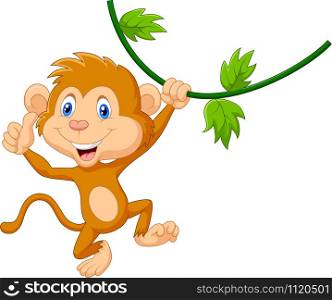 Cute monkey hanging giving thumb up