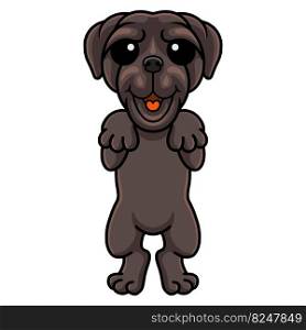 Cute neapolitan mastiff dog cartoon standing