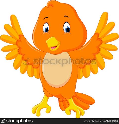 Cute orange bird cartoon
