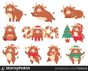 Cute ox. Color bulls chinese new year 2021 symbol, animals with horns, cows and buffalo family calendar or cards, cartoon vector set. Animal bull 2021, cow chinese year, oriental cattle illustration. Cute ox. Color bulls chinese new year 2021 symbol, animals with horns, cows and buffalo family for calendar or cards, cartoon vector set