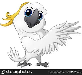 Cute parrot cockatoo cartoon posing
