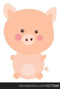 Cute pig, illustration, vector on white background.