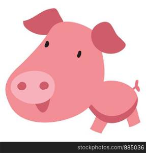 Cute pig with big head, illustration, vector on white background.