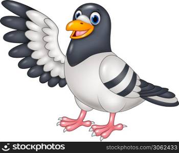 Cute Pigeon bird presenting. Isolated on white background