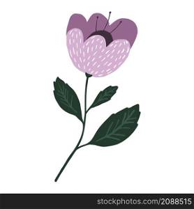 Cute pink flower isolated. Hand drawn botanical print. Vector illustration. Cute pink flower isolated. Hand drawn botanical print