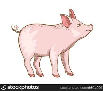 Cute pink little pig on a white background. Hand drawn vector illustration