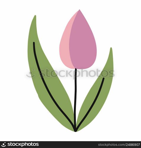 Cute pink tulip. Card decor element. Vector isolated image. Cute flower sticker. Beautiful flower in doodle style . Spring plant.