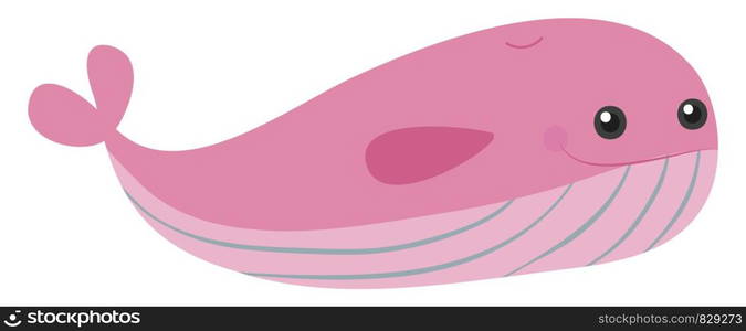 Cute pink whale, illustration, vector on white background.