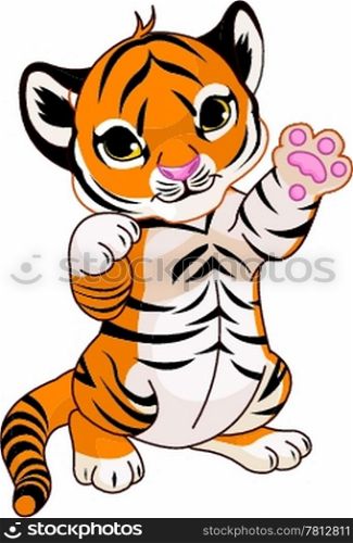 Cute playful tiger cub