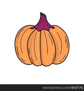 Cute pumpkin. Autumn harvest. Halloween decor. Doodle style illustration