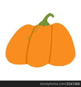 Cute pumpkin isolated on white background. Vector illustration. Cute pumpkin icon