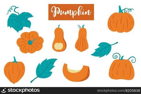Cute pumpkin object collection.Whole, cut in half, sliced on pieces pumpkin. Vector illustration for icon,sticker,printable