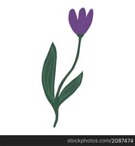 Cute purple flower isolated. Hand drawn botanical print. Vector illustration. Cute purple flower isolated. Hand drawn botanical print
