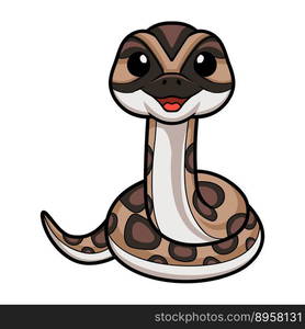 Cute rattlesnake cartoon on white background — Stockphotos.com