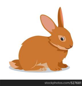 Cute rabbit icon isolated, small fluffy pet with long ears, domestic animal, vector illustration in flat style. Cute rabbit icon isolated, small fluffy pet with long ears, domestic animal, vector illustration