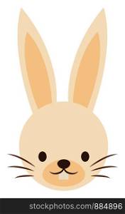 Cute rabbit with long ears, illustration, vector on white background.