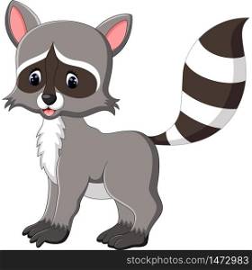 cute raccoon cartoon