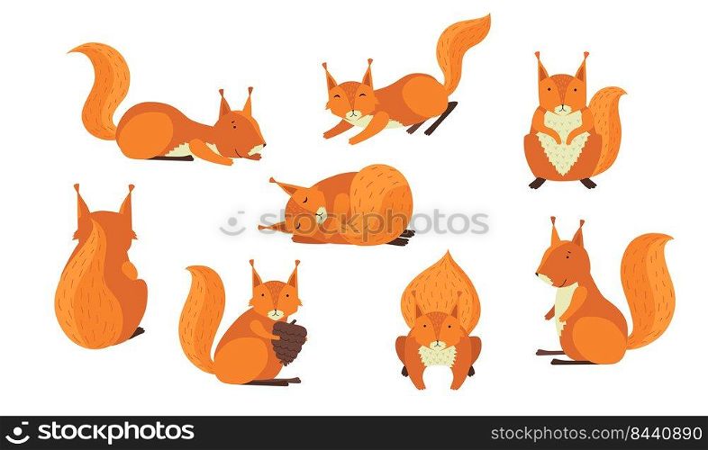 Cute red furry squirrel set. Cartoon animal in different action, s≤eπng, jumπng, holding nut. Vector illustration for mammals, wildlife, forest fauna concept.