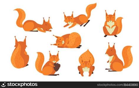 Cute red furry squirrel set. Cartoon animal in different action, s≤eπng, jumπng, holding nut. Vector illustration for mammals, wildlife, forest fauna concept.